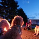 Mary Baxter - @MaryBax54892021 - Twitter