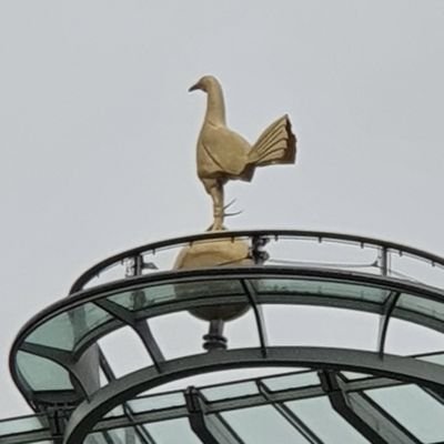 m_p_lane's profile picture. Twitch: justa_fleshwound
Xbox:Laney#3605