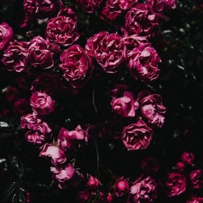 Fearfree3's profile picture. Just for fun 😄