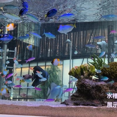 YtQh9sa85ivvBzm's profile picture. 