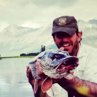DANNY GRIEGO (@thedannygriego) 's Twitter Profile