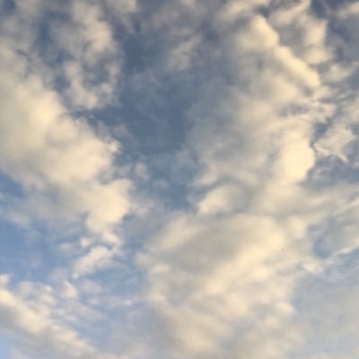 yerrobean's profile picture. she/her