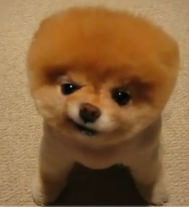 indigood's profile picture. 👩‍🎨