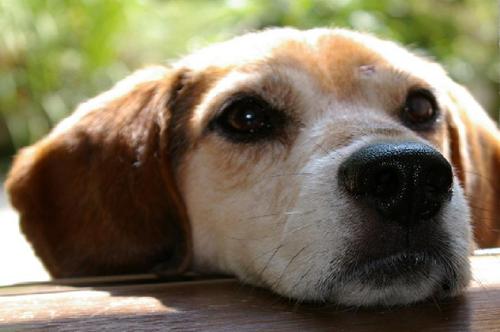 6rossa3's profile picture. 理学療法士/僻地医療/小児/脳科学/ゴルフ/陶芸/Mr. Children /ap bank fes/