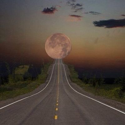 green_mgoyal's profile picture. 