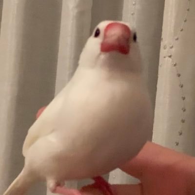 ExYlSPTO0Niz3SR's profile picture. 