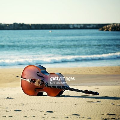 I'm a Musician
Principal of Double Bass of the Falcon Regional Youth Orchestra.
