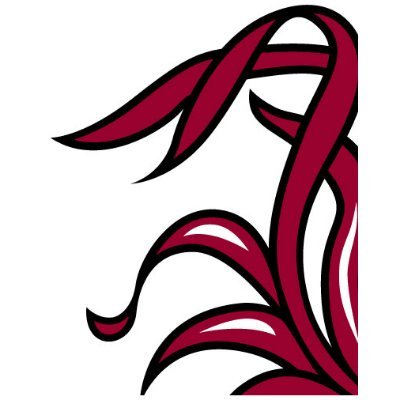 UofSC_AAUP's profile picture. University of South Carolina AAUP Chapter