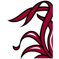 UofSC AAUP (@uofsc_aaup) 's Twitter Profile Photo