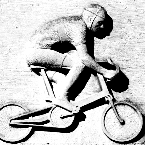 moultonbuzz's profile picture. life on a moulton buzz