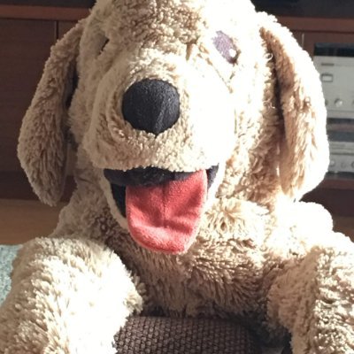 会社を退職して今はほそぼそと個人事業主。Excel大好き。前職でやっていたBizRoboに代わってPAD学習中。ちょっと経理。FP。お金の知識に興味あり。2025年のテーマは「どんよくに学ぶ」です。今年はスキーをするぞ。ノンプロ研メンバー