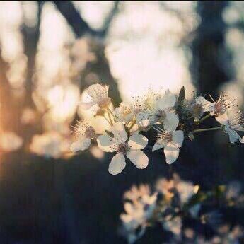 rg00d07's profile picture. مندوبه لجميع المواقع مثل شي ان وجولي شيك ودالي ونون و أجمل و ايهرب واي موقع حياكم 🤚🏼🌹