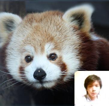 たぬきです。ツイート内容とは関係ありません。
横浜生まれの阪神ファン/動物・ゆるキャラ/国際情勢