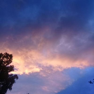 jorgeliezer_'s profile picture. |Ing. Industrial| Soñador●□■◇