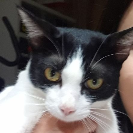 nkowen's profile picture. .......