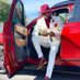 Vincent Mhakaye (@vincentmhakaye) Twitter profile photo Vincent Mhakaye (@vincentmhakaye) Twitter profile photo