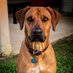 Clay Harper (@ajxridgeback) Twitter profile photo Clay Harper (@ajxridgeback) Twitter profile photo