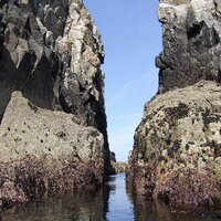 elvin peel (@elvinpeel) 's Twitter Profile Photo