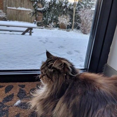 madamad21795502's profile picture. 