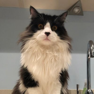 Lizzy7510's profile picture. 