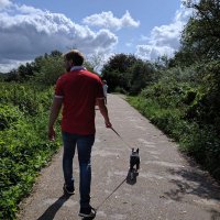 SDM (@aryan86) 's Twitter Profile