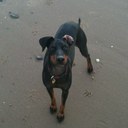 Chris Nott - @gingernott - Twitter