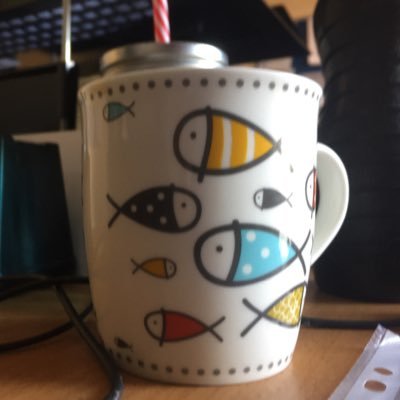 jackiepotts18's profile picture. Specialist Falls Physiotherapist. # Newport CRT. Physiotherapy Team Lead. #ABUHB # Clinical Lead for Falls, Newport. & Carp Angler @welshladiescarpteam