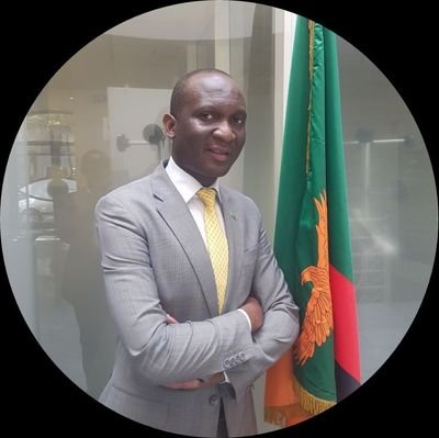 Tourism expert, Diplomat, Researcher, Consultant, Advisor, Academician