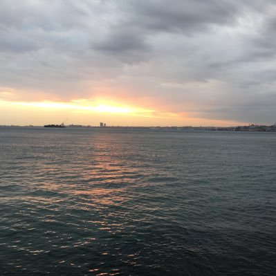 koraygececi's profile picture. 