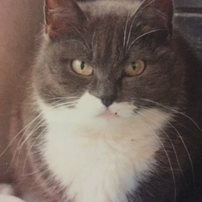 grorue's profile picture. 