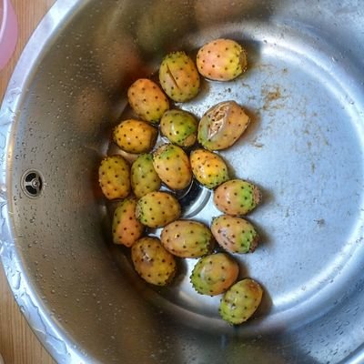 CoinTally's profile picture. 