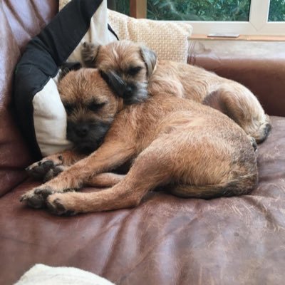 Two BTs living their best lives. Very proud #BTPosse members 😊😊