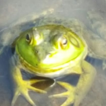 Tr4zzz's profile picture. You know who I am