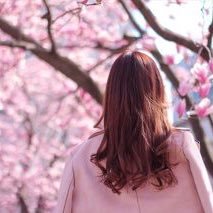 __95marumaru's profile picture. ビジネスアカウント🌸 輸入販売してます！稼ぎたい人、収入upしたい人連絡ください！🥰🥰 一緒に稼ぎましょ💸💰