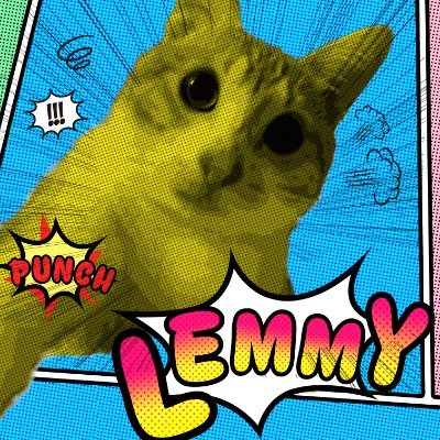 12N705's profile picture. しがないオタクUIデザイナー/気づけばずっとエンタメ業界にいる/こっそりフォロー失礼します
