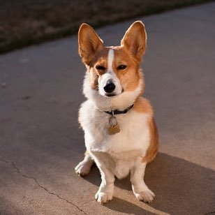 evethingaboutme's profile picture. Lol