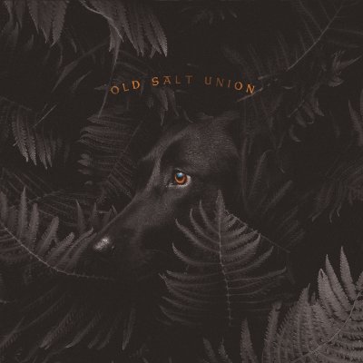 Old Salt Union Profile