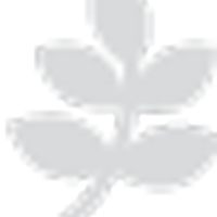 FysioVergoedingen (@fysiovergoeding) 's Twitter Profile Photo