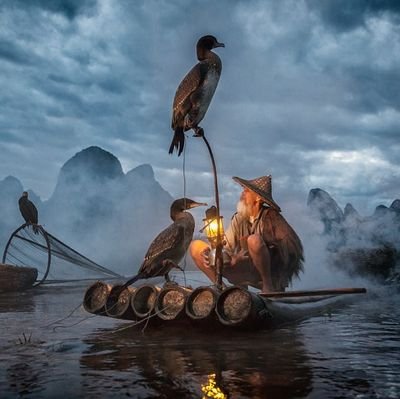 Yuvan_11's profile picture. 👍🏻