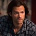 Moose Winchester {Parody/RP} (@attentiveego) Twitter profile photo Moose Winchester {Parody/RP} (@attentiveego) Twitter profile photo