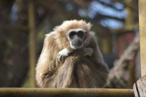 kobussmitZA's profile picture. 