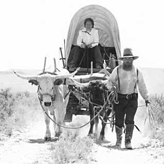 OrgTrailBlazer's profile picture. Original Oregon Trail Blazer!