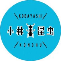 小林昆虫【公式】(@kobayashikonchu) 's Twitter Profile Photo