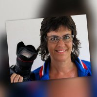 Anne-Marie van Rijn📷 (@marierijn) 's Twitter Profile Photo