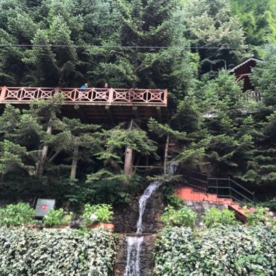 bilgiseldunyasi's profile picture. Bilgisel dünyası. Sıkı bir senarist olma çabası içinde bir akademisyen..