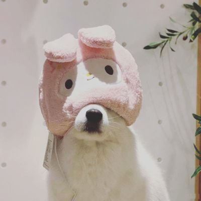 zzztt82's profile picture. eyemedmy