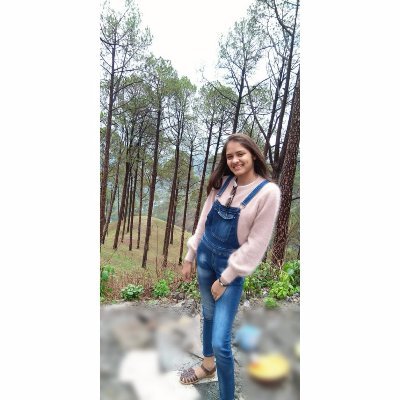 Priyalj89645843's profile picture. CA aspirant