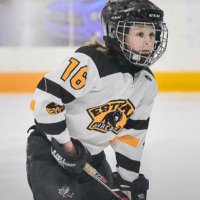 Estevan U13 AA IG Bearcats(@EBearcats) 's Twitter Profile Photo