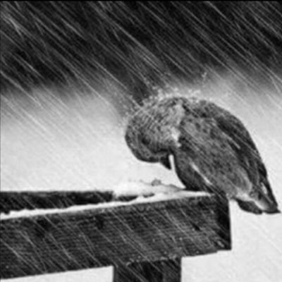 HAMiD48743606's profile picture. الأحَترآم ؛ وَآلأخَلآقْ ؛ والأدبَ ؛ لآ يُباعْ وَلا يُشتَرى ؛ بَل هُوَ طَابع فِيَ قَلب مِن تَربىّ ..