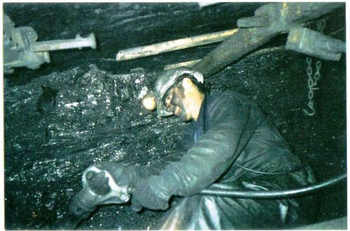 luillix18's profile picture. 